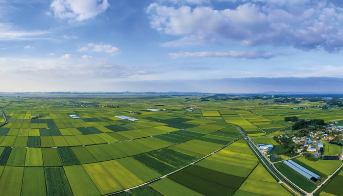 Arazi Toplulaştırma Projesi